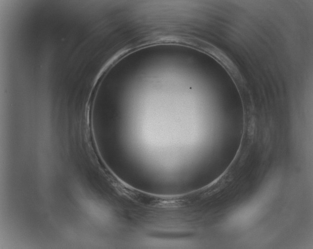 X0000073951198200608281207