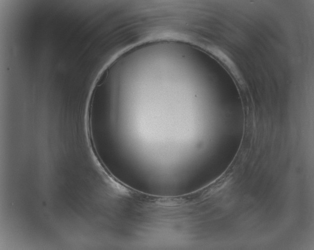 X0000073951199200608281207