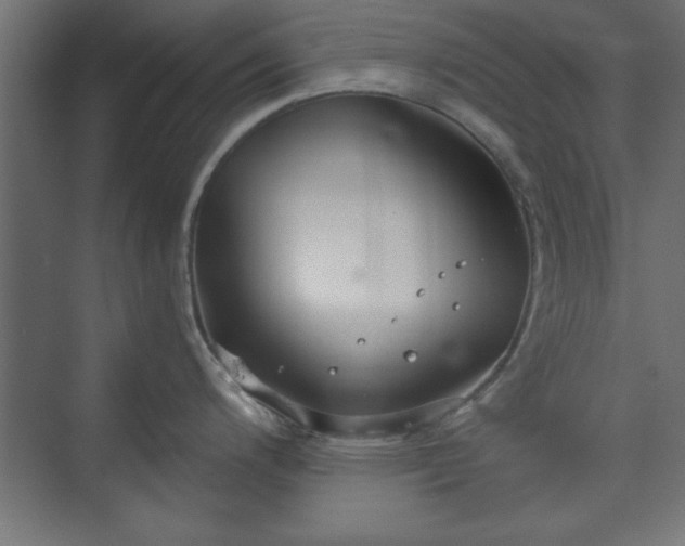 X0000073951200200608281207