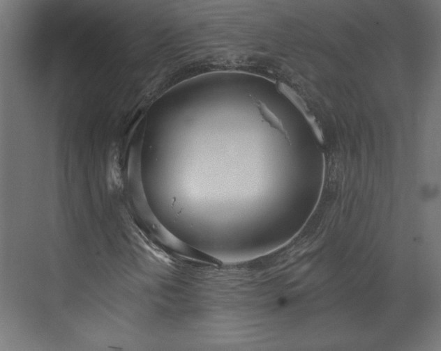 X0000073951202200608281206