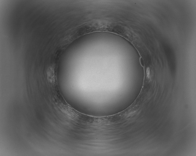 X0000073951203200608281206