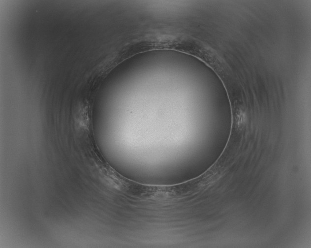 X0000073951204200608281206