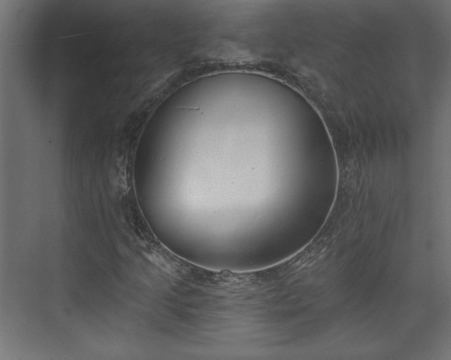 X0000073951205200608281206