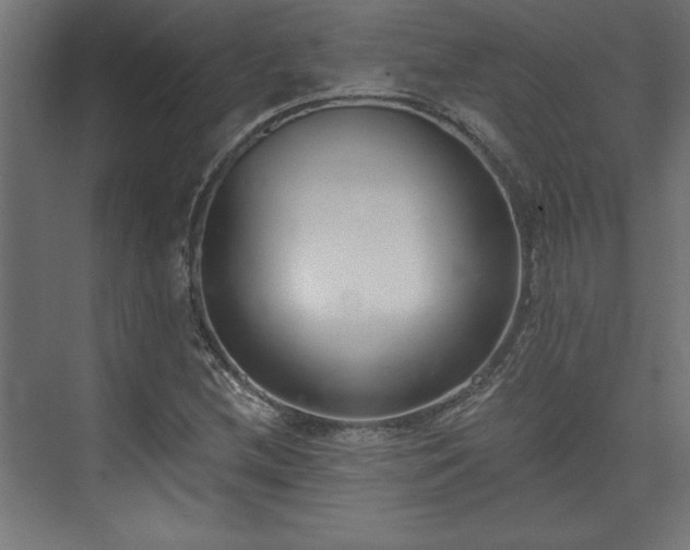 X0000073951212200608281206