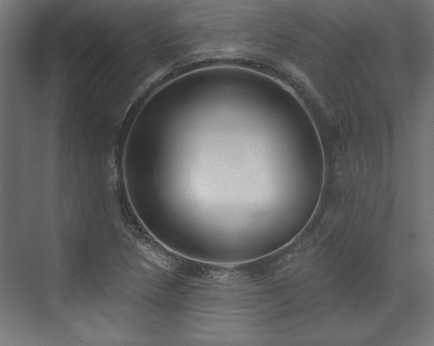 X0000073951218200608281206