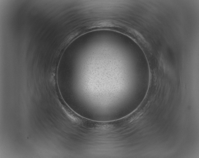 X0000073951225200608281206