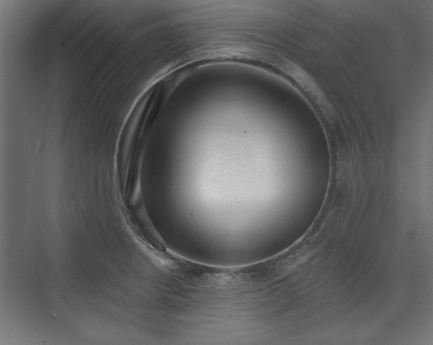 X0000073951234200608281207