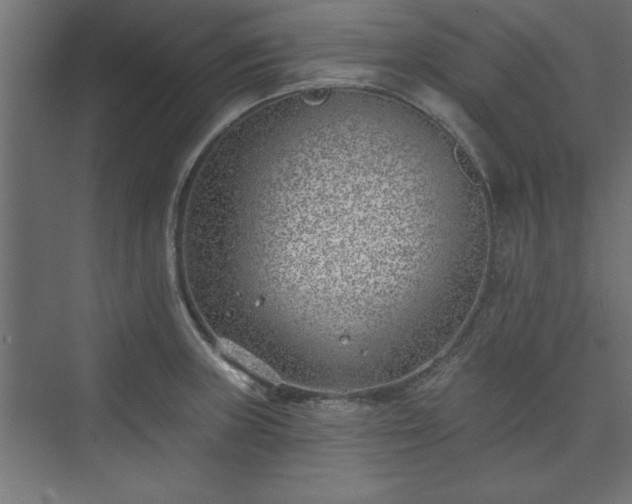 X0000073951235200608281207