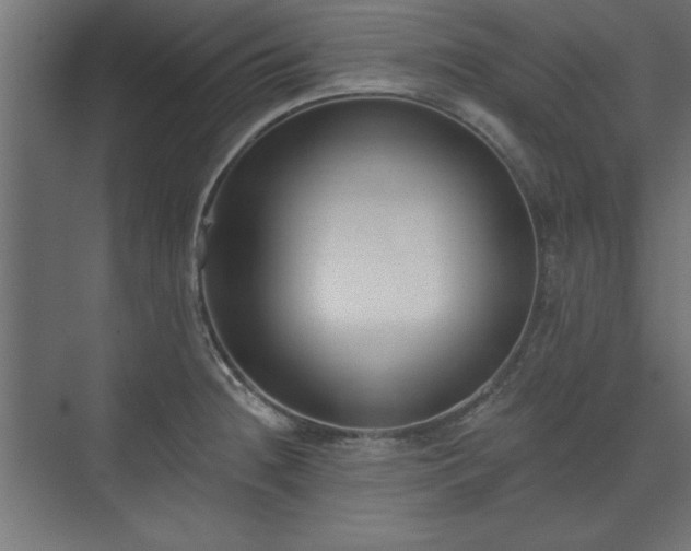 X0000073951236200608281207