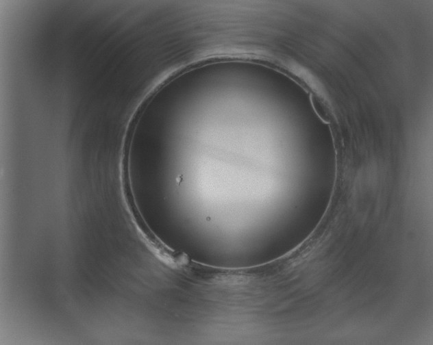 X0000073951237200608281207