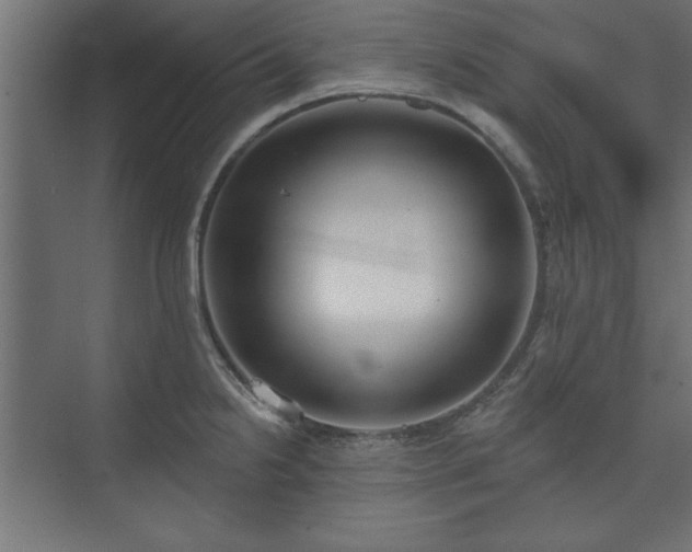 X0000073951238200608281207