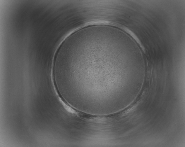 X0000073951245200608281207