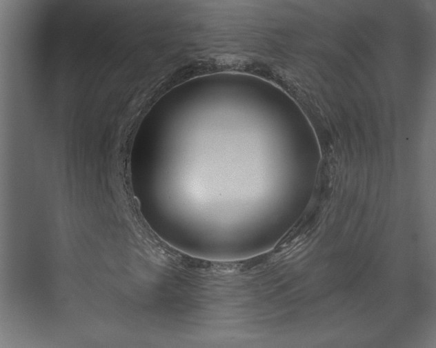 X0000073951249200608281206