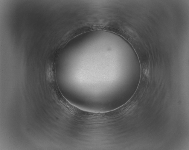 X0000073951252200608281206