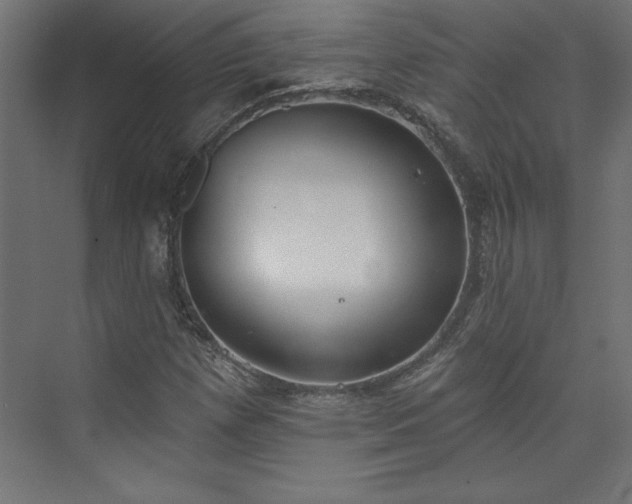 X0000073951257200608281206
