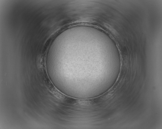 X0000073951258200608281206