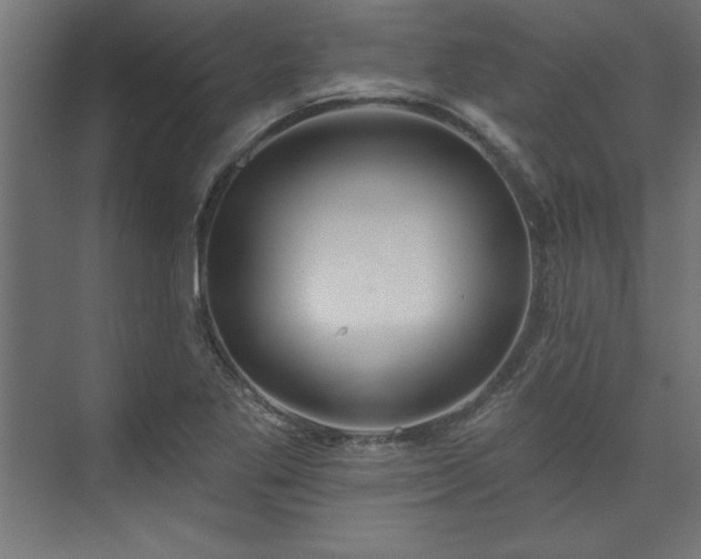 X0000073951269200608281206