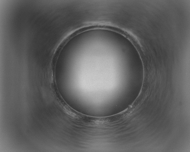 X0000073951271200608281206