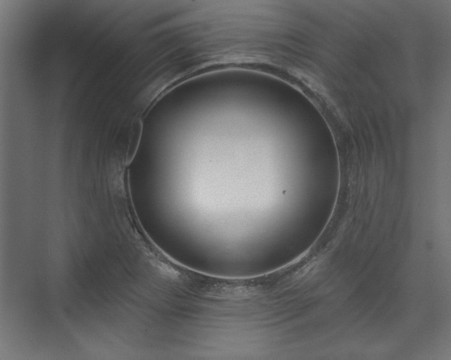 X0000073951273200608281206
