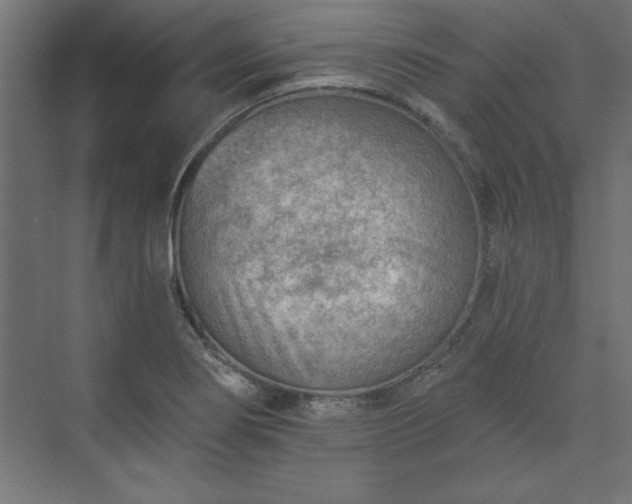 X0000073951274200608281206