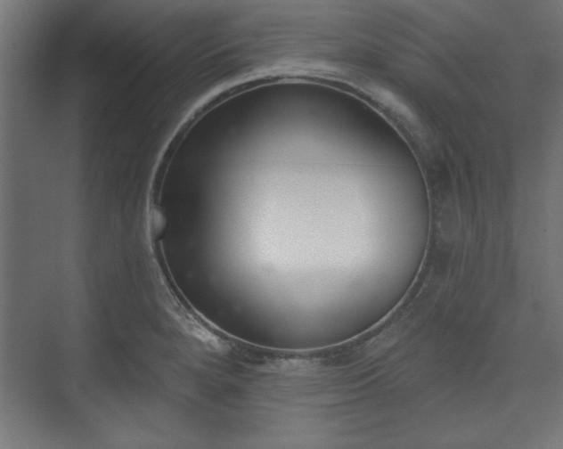 X0000073951280200608281205