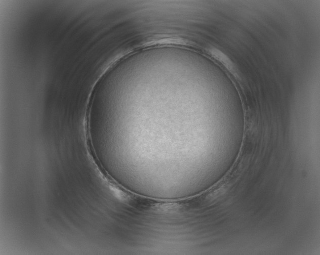 X0000073951282200608281205