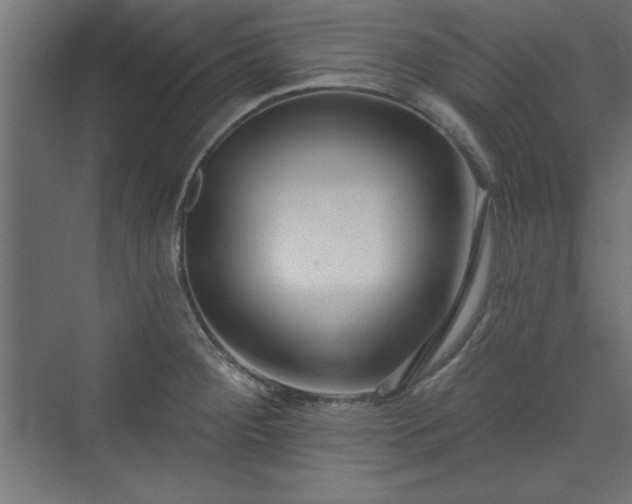 X0000073951284200608281205