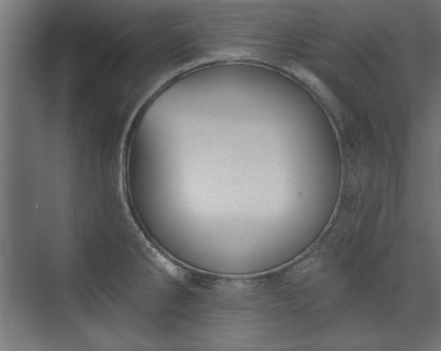X0000073951286200608281205
