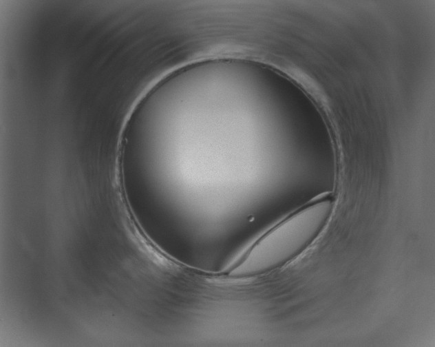 X0000073951296200608281205