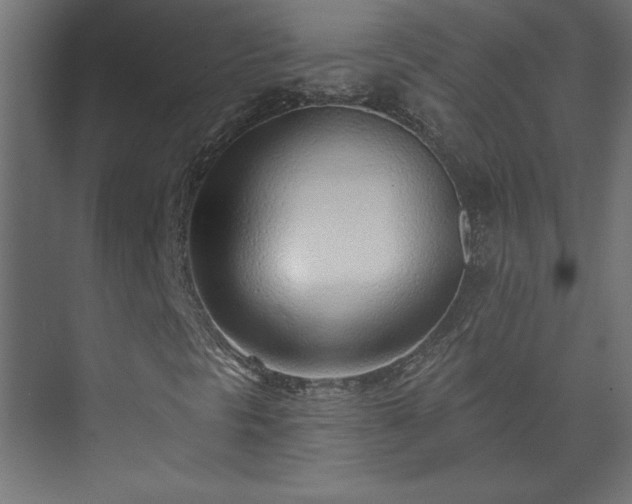 X0000073951297200608281204