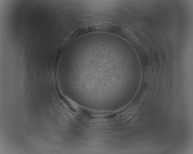 X0000073951298200608281204