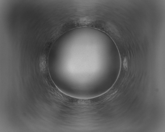 X0000073951299200608281204