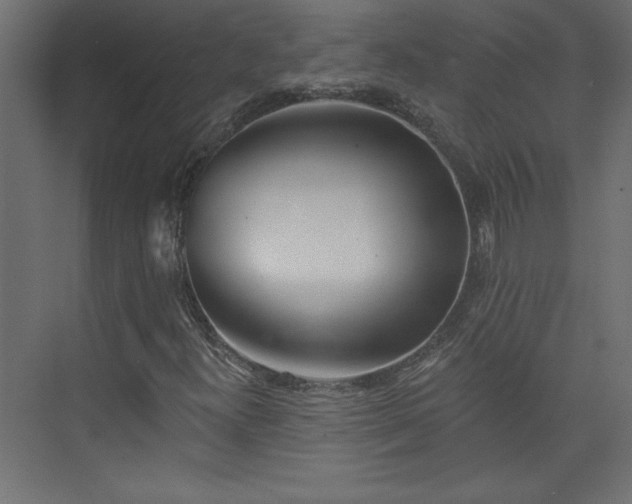 X0000073951300200608281204