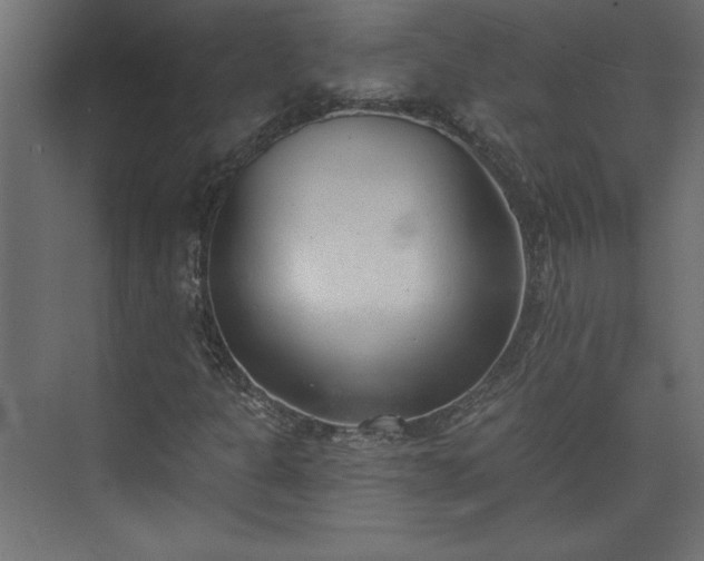 X0000073951301200608281204