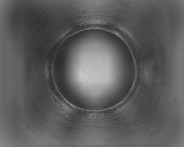 X0000073951305200608281204