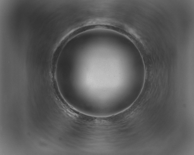 X0000073951312200608281205
