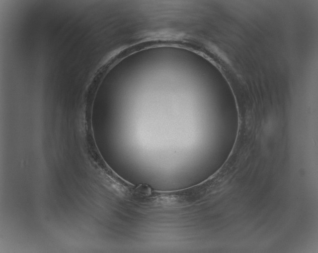 X0000073951315200608281205