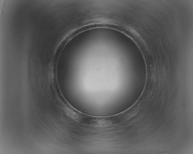 X0000073951318200608281205
