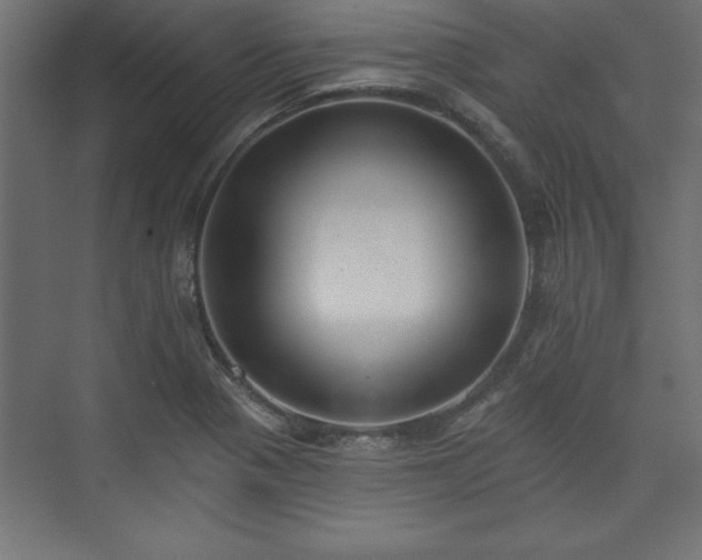 X0000073951321200608281205