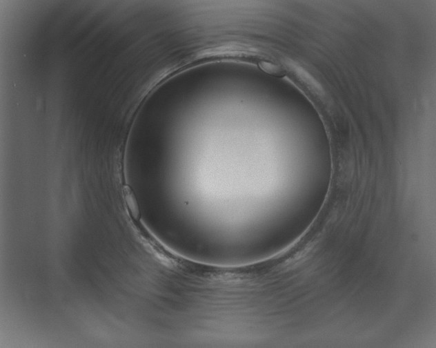 X0000073951329200608281205
