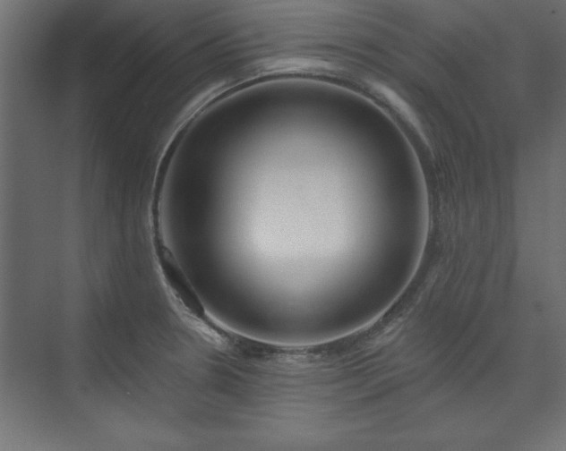 X0000073951330200608281205