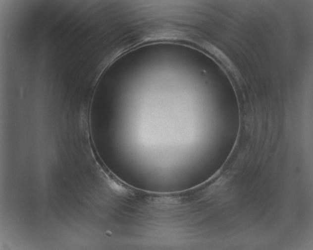 X0000073951337200608281205
