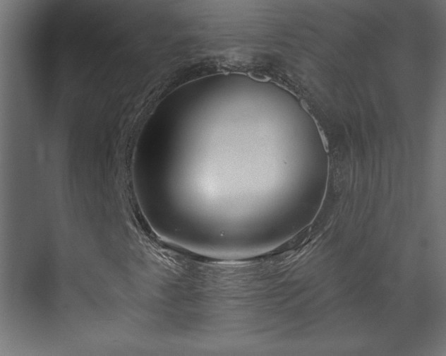 X0000073951345200608281204
