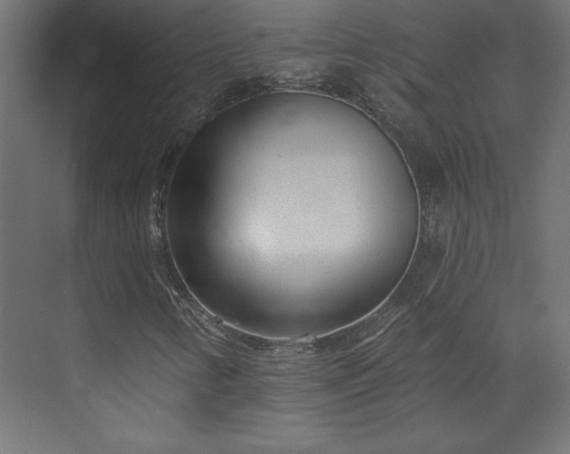 X0000073951346200608281204