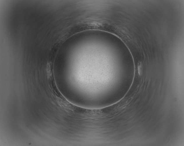 X0000073951347200608281204