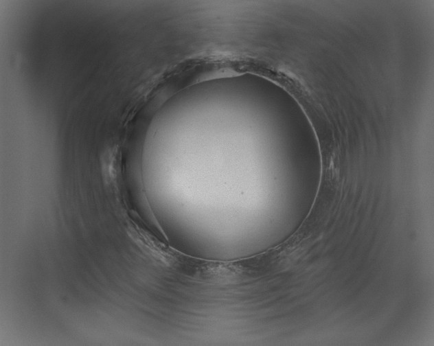 X0000073951348200608281204