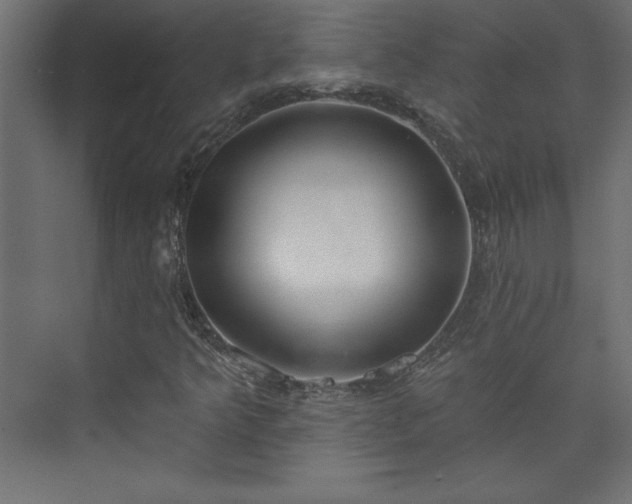 X0000073951349200608281204