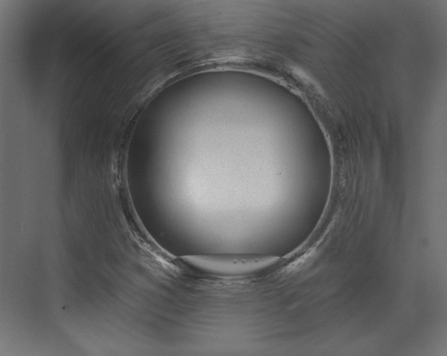 X0000073951353200608281204