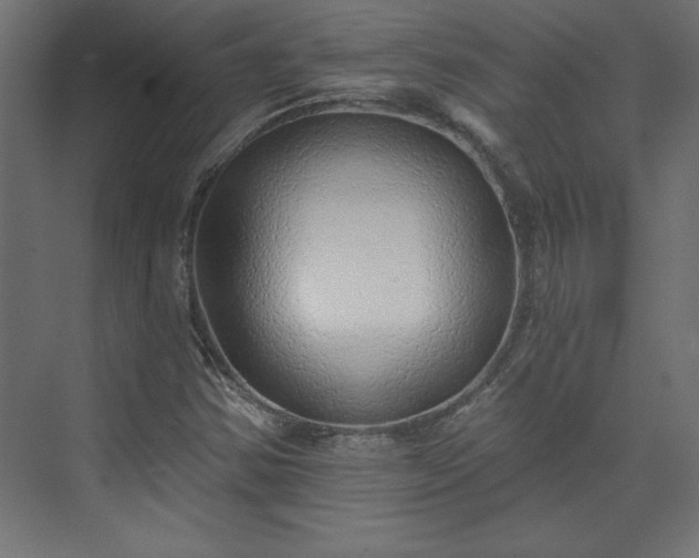 X0000073951354200608281204