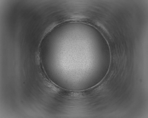 X0000073951362200608281204